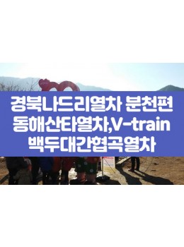 동해산타열차&V-train 백두대간협곡열차 [당일]